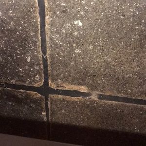 Meet your Posher, Ross